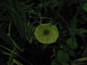 DSCN0849.JPG