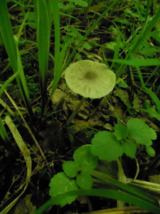 DSCN0851.JPG