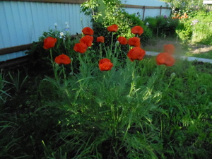 DSCN0882.JPG