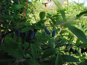 DSCN0900.JPG