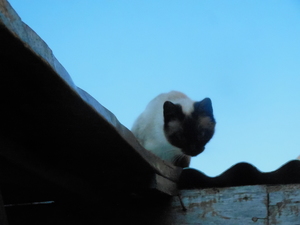 DSCN0908.JPG