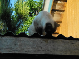 DSCN0909.JPG