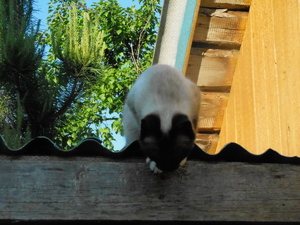 DSCN0912.JPG