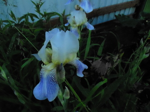 DSCN0920.JPG