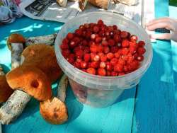 5978c8d7684a6_25_07.20175.thumb.jpg.bfb243fcdc2f39dc0e3fe5135542a924.jpg