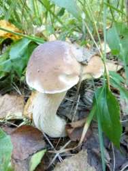 9GWTZc5gYg8.thumb.jpg.61a9612394c1baa9fd2c9131f1a6ffeb.jpg