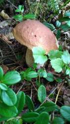 IMG-20170913-WA0022.jpg