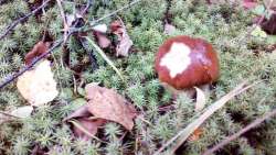 IMG_20170916_075310.jpg