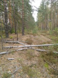 IMG_20170926_094724.jpg