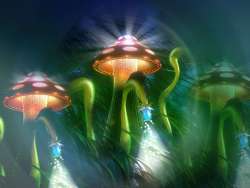 Mushroom-3D-Wallpapers-Download-13.thumb.jpg.2151524abe4965dfee5c409e62b785aa.jpg