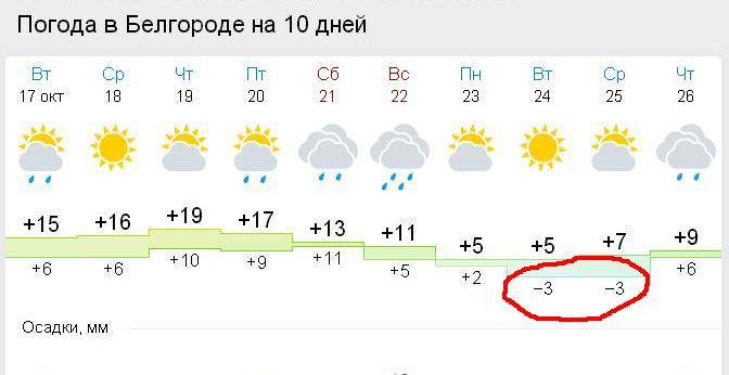 Погода в белгороде на 10 точный