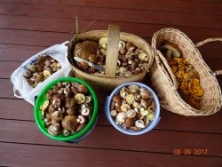 DSC00635.jpg