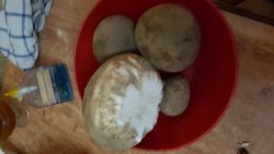 IMG-20171024-WA0001.jpeg