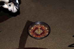 DSC03392.jpg