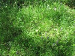 IMG_1122.thumb.JPG.21f95462d221cc511884bd19250cd85e.JPG