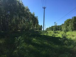 IMG_5831.JPG