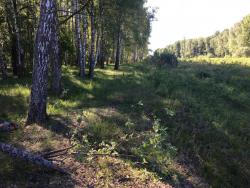 IMG_5832.JPG