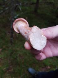 IMG-20181008-WA0003.jpg