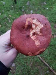 IMG-20181008-WA0005.jpg