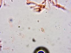 0001(2).thumb.jpg.079b892fc9d4213107dd2d16c2be7844.jpg
