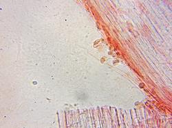0012.thumb.jpg.b28c18967b09aae545ab1821c5f04f10.jpg