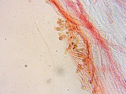 0013.thumb.jpg.1280e344be3b852e3703263a5f7b637b.jpg
