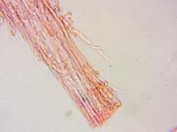 0016.thumb.jpg.8e745ca6686d30707c3e57cd2623c6ea.jpg