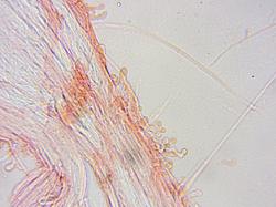 0020.thumb.jpg.34729086b31286786a308b7fa52817d0.jpg