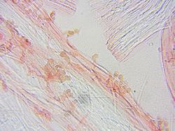 0021.thumb.jpg.7e2613c537d1b0b98d96be743679bfd4.jpg