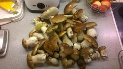 95.thumb.jpg.b47ca8d9a6e86bfcdf9326b374beeaa1.jpg