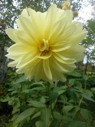IMG_20190901_135845.thumb.jpg.e862bad9c5e6e31e5975e0c62632e709.jpg