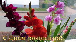 Gladiolus.thumb.JPG.ebb1b76cfff176bac50e7de9dc64691d.JPG