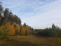 IMG_20191003_083219.jpg
