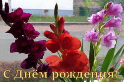 Gladiolus.thumb.JPG.cdf338fe5ae7a59e22f00c2fbd0591c7.JPG