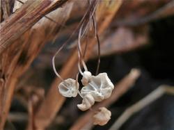 №289 Marasmius limosus 191025 крапива (4).JPG