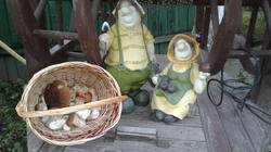 20200718_182749.jpg