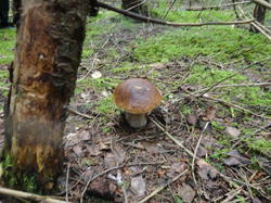 DSC02631.thumb.JPG.9c9c45b16175448d8c16ef04257d634f.JPG