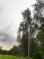 IMG_20200713_154400.thumb.jpg.b8de8beed1ce2e14f59dd7ea0889092a.jpg