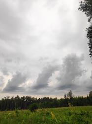 IMG_20200713_155144.thumb.jpg.daf7790d13a782bb3830bca5a80f33db.jpg