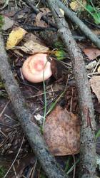 IMG_20200830_150203.jpg