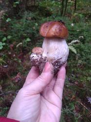 IMG_20200929_114107.jpg
