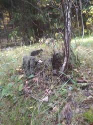 IMG_20200929_114246.thumb.jpg.f2d37f9535311498842f109e31485a2b.jpg