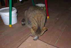 IMG_7917.thumb.jpg.c9efdc5086972be18926355b391c6fc8.jpg