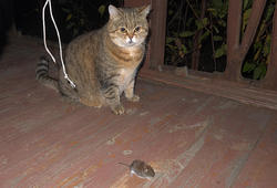 IMG_7919.jpg