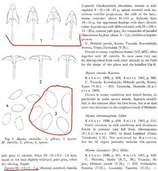 Screenshot_457.thumb.jpg.678e13035d425da3647268c4f16aab8d.jpg