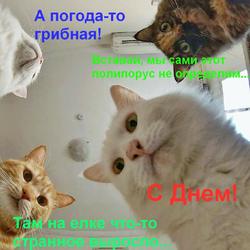 cats1.thumb.jpg.c90f20918d3733b66ea90d68337904fa.jpg