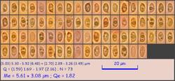 yellfung31_pixi.thumb.jpeg.9260e9fc4d3f36cdfdbbd5f409f7808d.jpeg