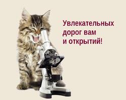 chat-microscope-detoure.thumb.jpg.9f42dd901afce69663488e337cabd2ca.jpg