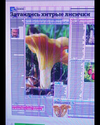 E39CA82A-34EC-42D9-BE65-73EA513980C5.thumb.jpeg.88cd3c958e3304b3742f05379994693f.jpeg