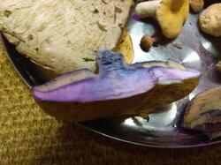 206913181_180921_2.thumb.jpg.89ff3efd7ba8b0cfb4452e5a694e9567.jpg